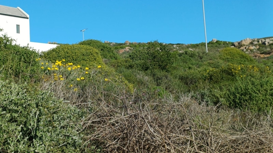 0 Bedroom Property for Sale in Steenbergs Cove Western Cape